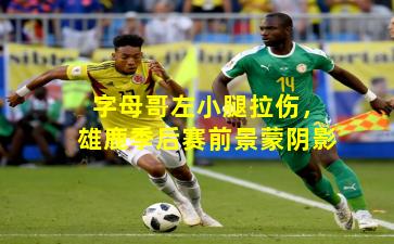 字母哥左小腿拉伤，雄鹿季后赛前景蒙阴影